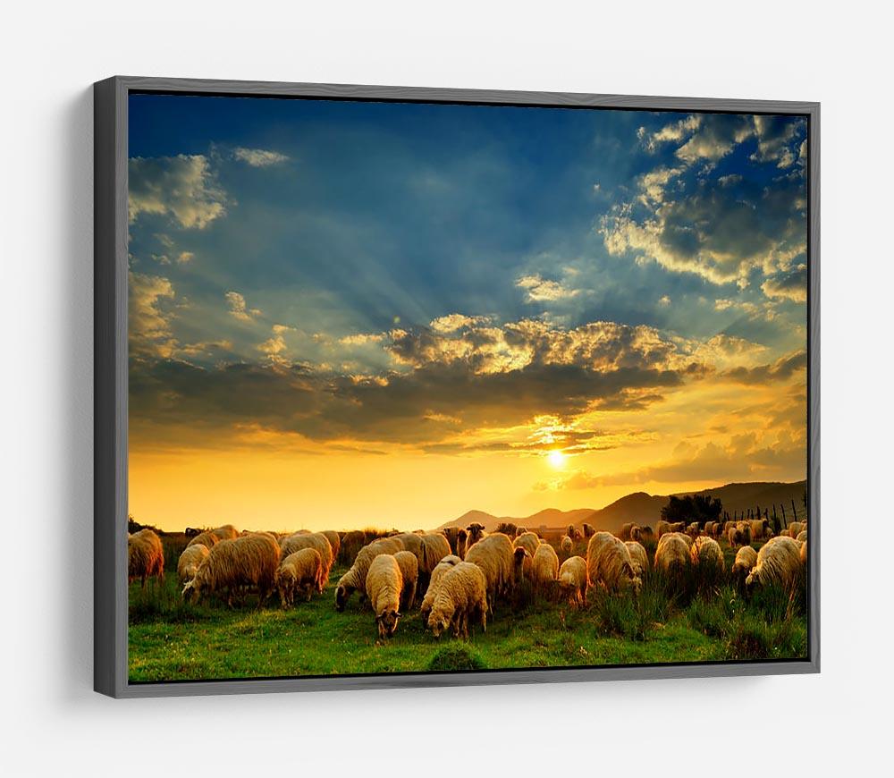 Flock of sheep grazing in a hill at sunset HD Metal Print - Canvas Art Rocks - 9