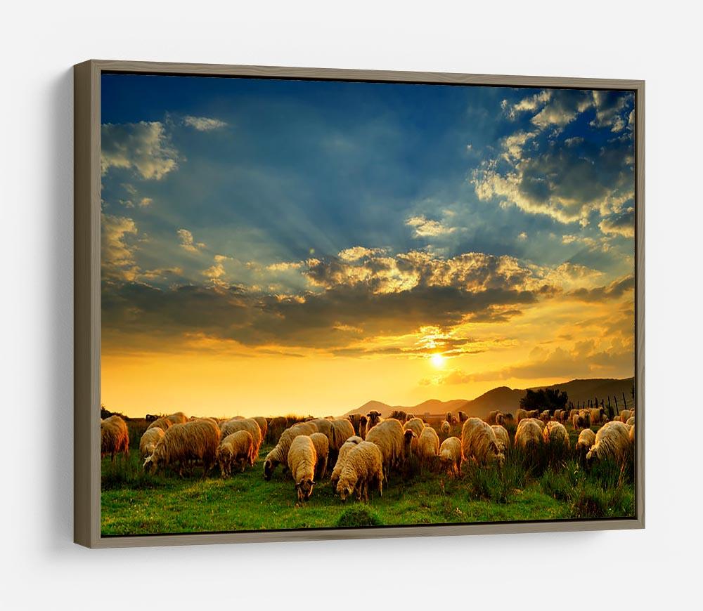 Flock of sheep grazing in a hill at sunset HD Metal Print - Canvas Art Rocks - 10
