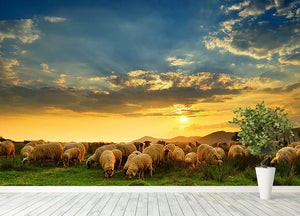 Flock of sheep grazing in a hill at sunset Wall Mural Wallpaper - Canvas Art Rocks - 4