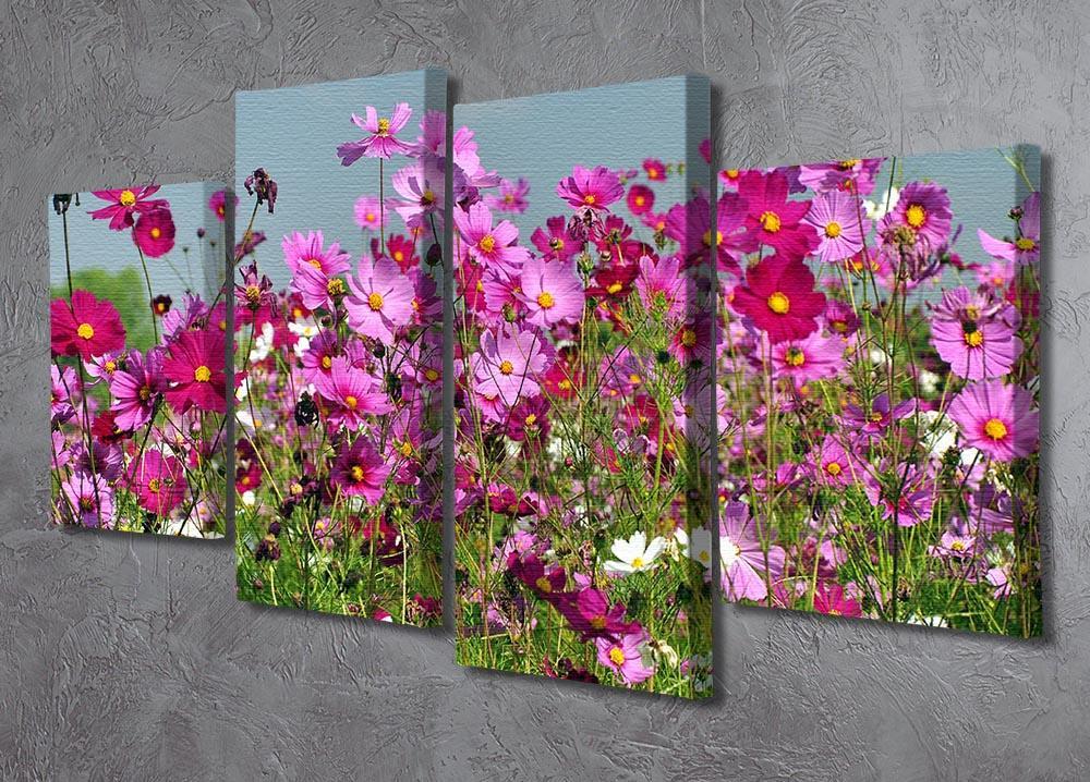 Flower field with blue sky 4 Split Panel Canvas  - Canvas Art Rocks - 2