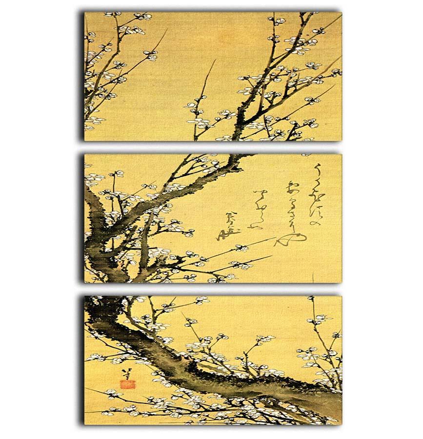 Flowering plum by Hokusai 3 Split Panel Canvas Print - Canvas Art Rocks - 1