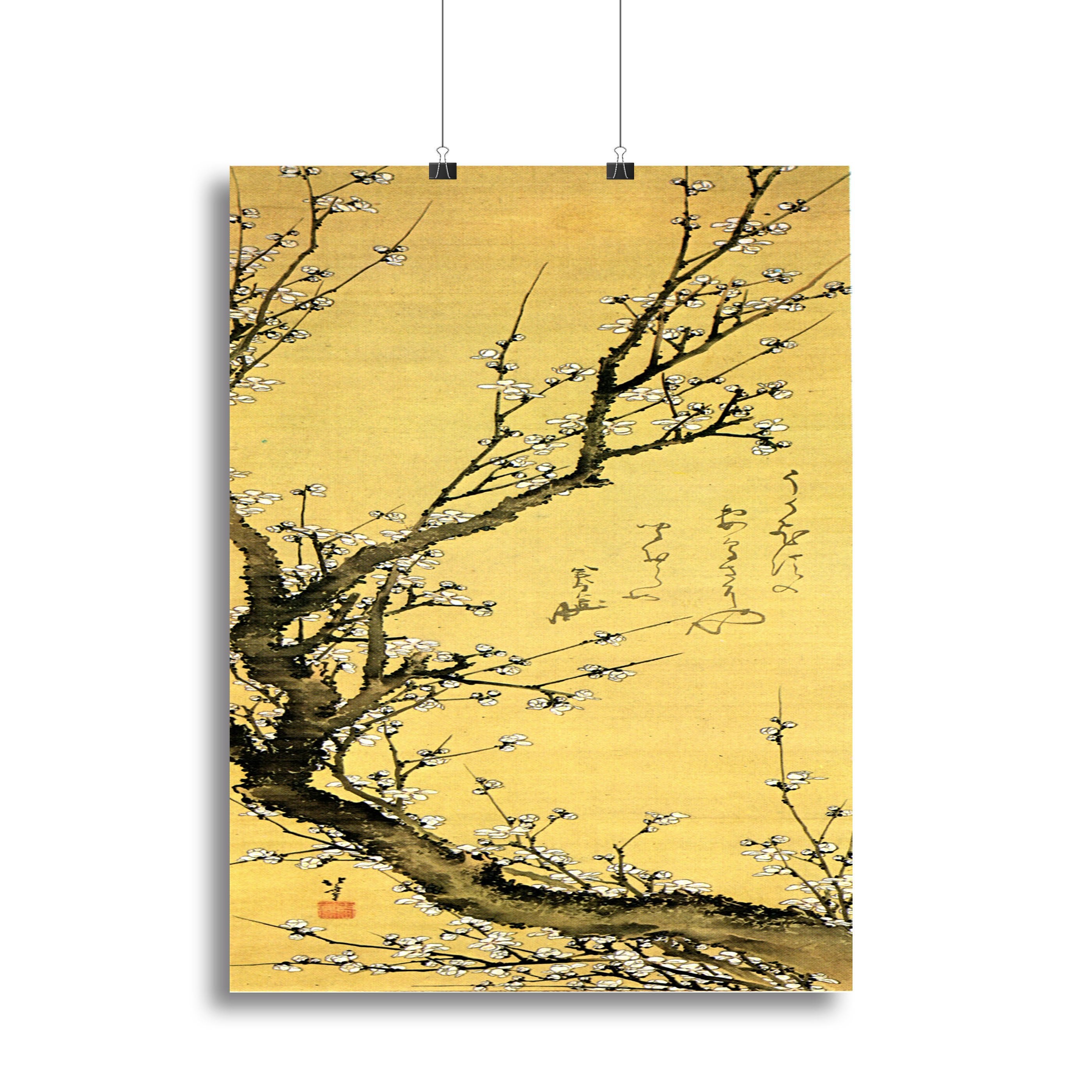 Flowering plum by Hokusai Canvas Print or Poster