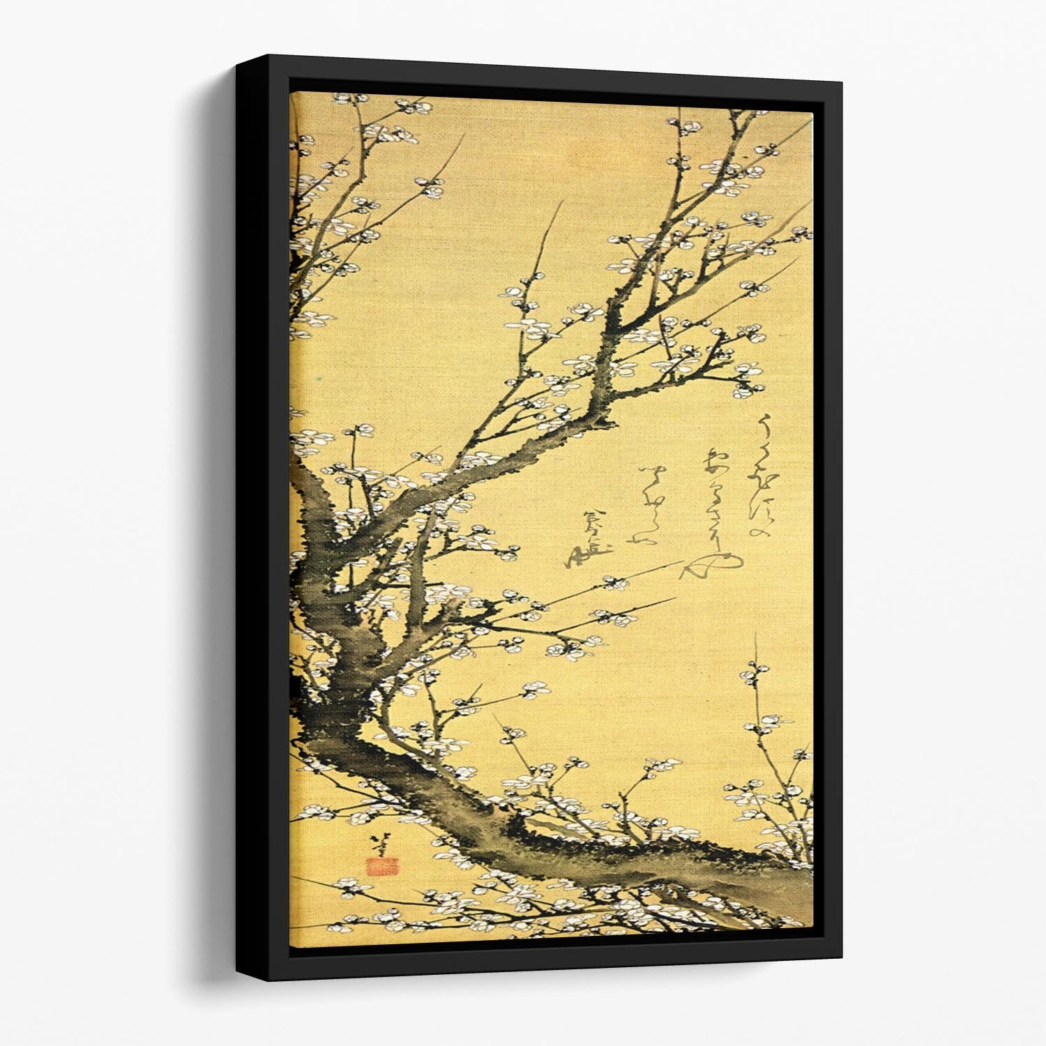 Flowering plum by Hokusai Floating Framed Canvas