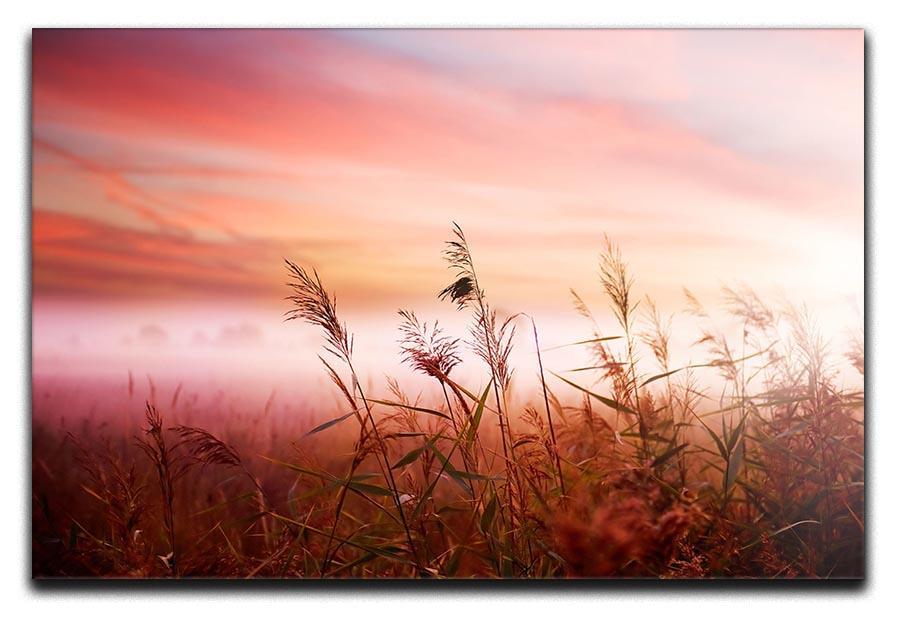 Foggy Landscape Early Morning Mist Canvas Print or Poster  - Canvas Art Rocks - 1