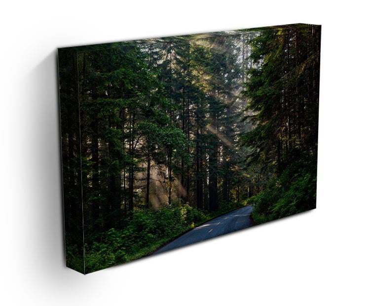 Landscape Forest Print - Canvas Art Rocks - 3
