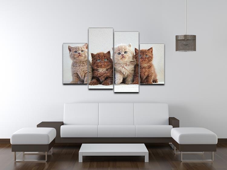Four various british kittens 4 Split Panel Canvas - Canvas Art Rocks - 3