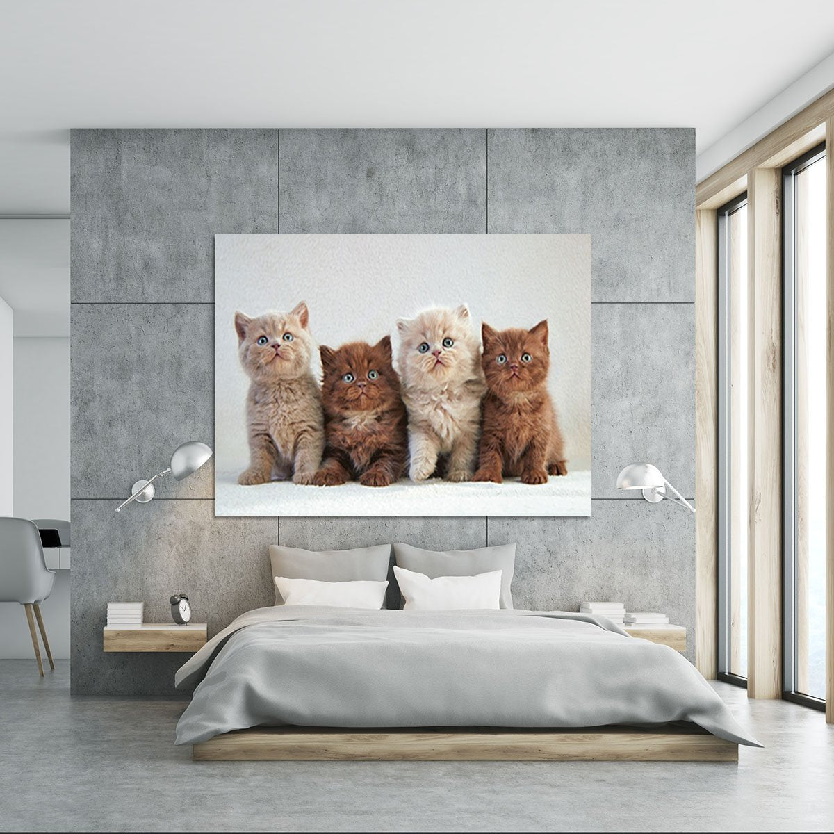 Four various british kittens Canvas Print or Poster