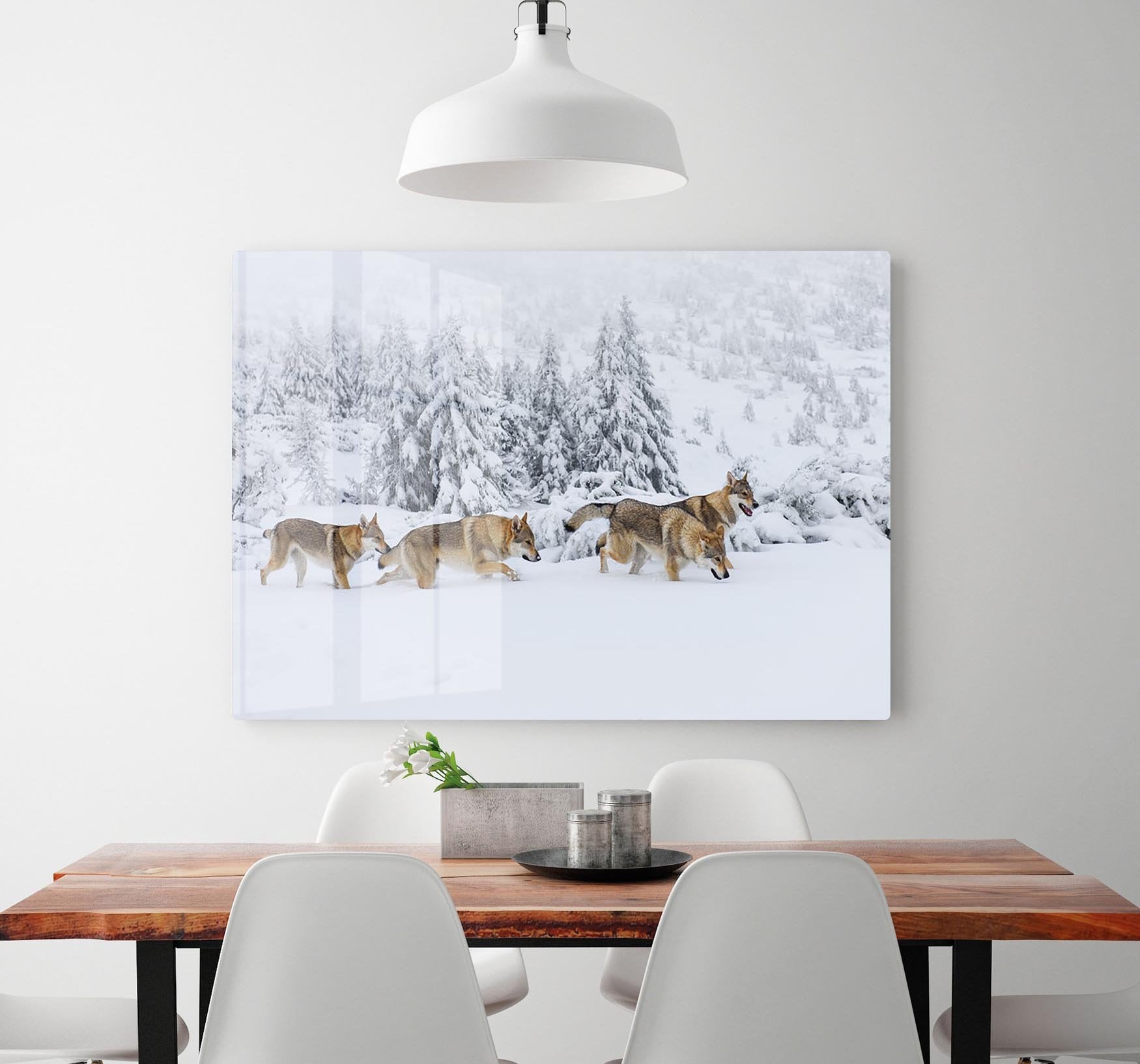 Four wolves in fresh snow in the mountains HD Metal Print - Canvas Art Rocks - 2