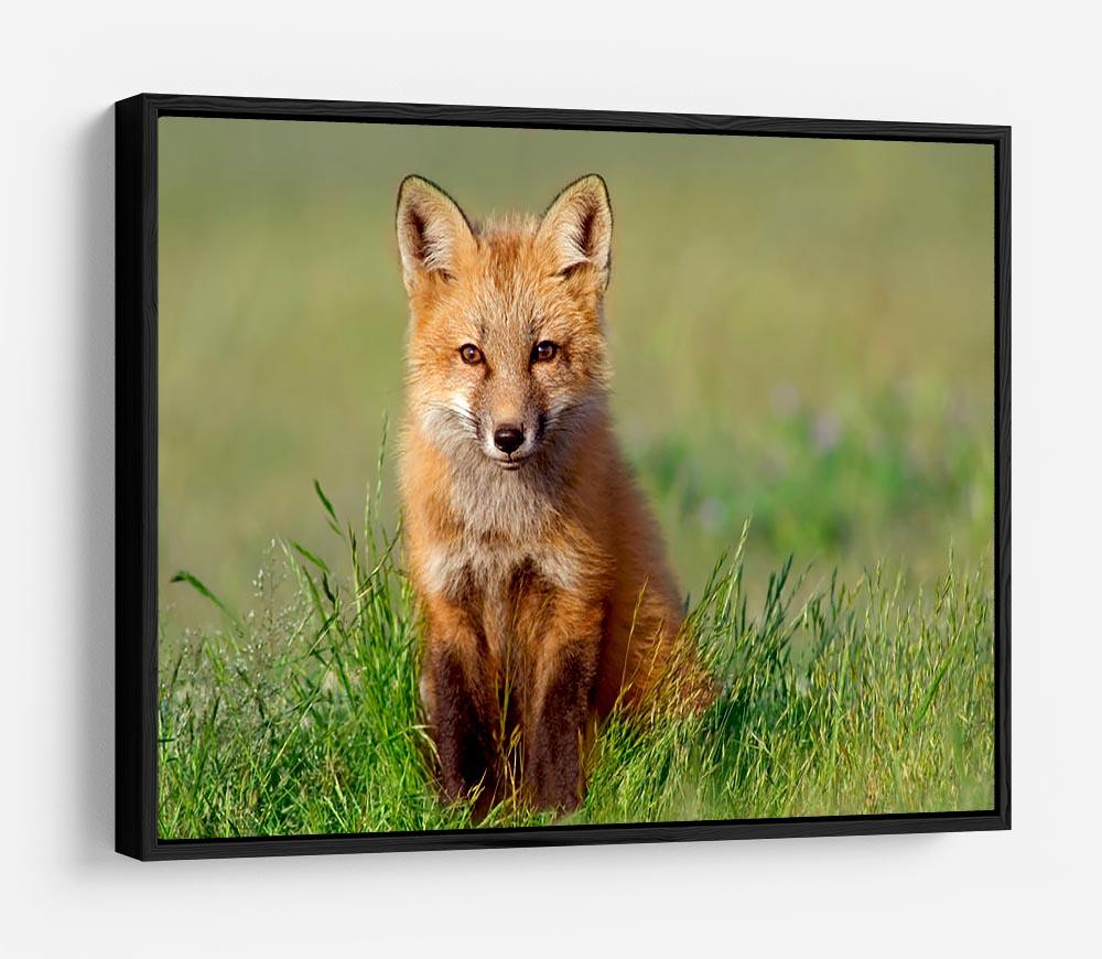 Fox Kit HD Metal Print - Canvas Art Rocks - 6