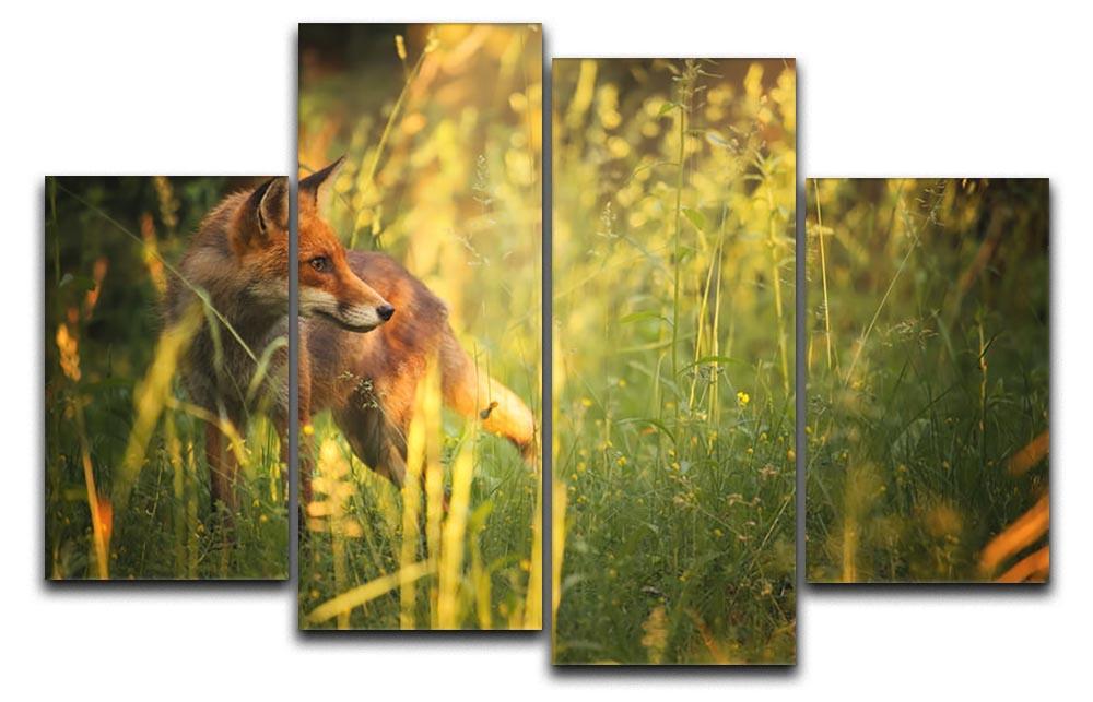 Fox on the summer forest 4 Split Panel Canvas - Canvas Art Rocks - 1