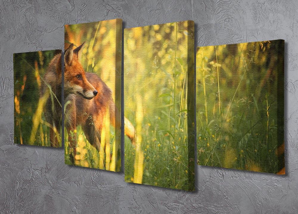 Fox on the summer forest 4 Split Panel Canvas - Canvas Art Rocks - 2