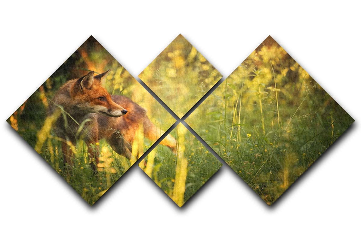 Fox on the summer forest 4 Square Multi Panel Canvas - Canvas Art Rocks - 1