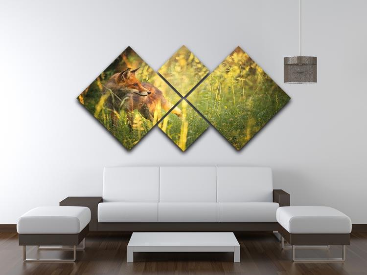 Fox on the summer forest 4 Square Multi Panel Canvas - Canvas Art Rocks - 3