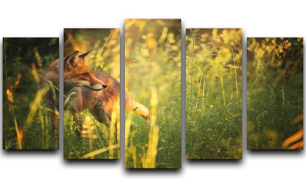 Fox on the summer forest 5 Split Panel Canvas - Canvas Art Rocks - 1