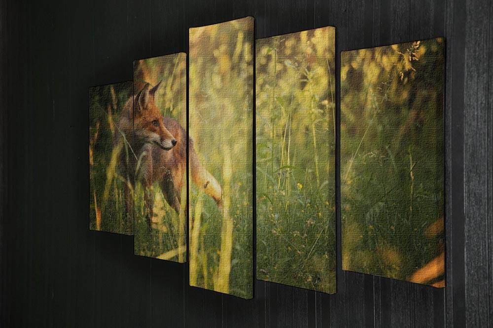 Fox on the summer forest 5 Split Panel Canvas - Canvas Art Rocks - 2