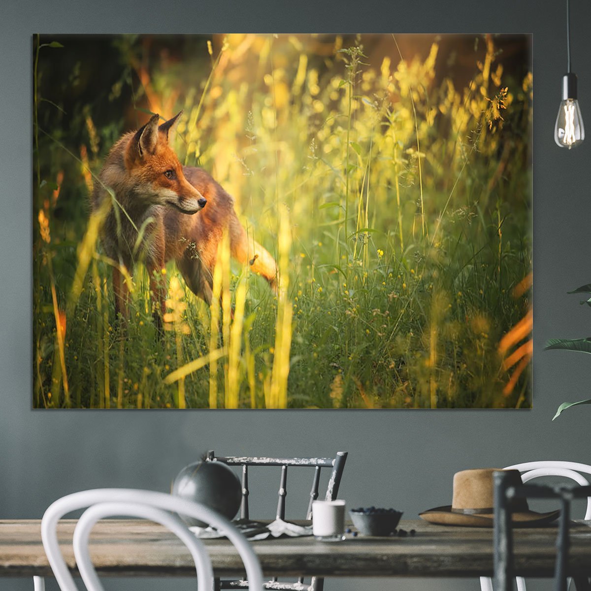 Fox on the summer forest Canvas Print or Poster