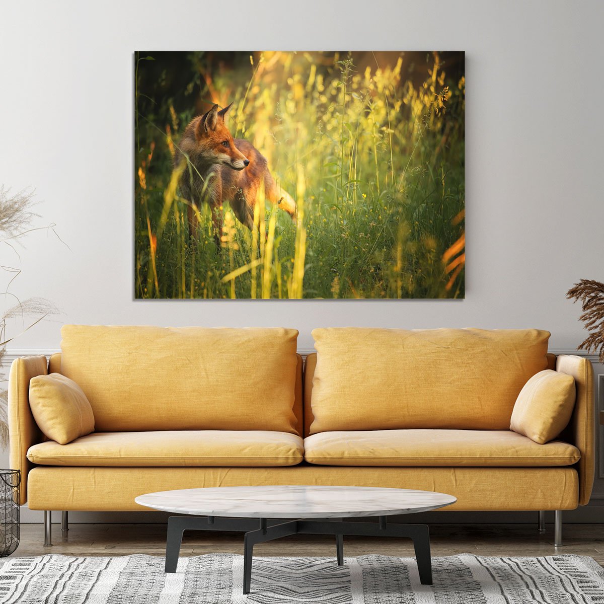 Fox on the summer forest Canvas Print or Poster