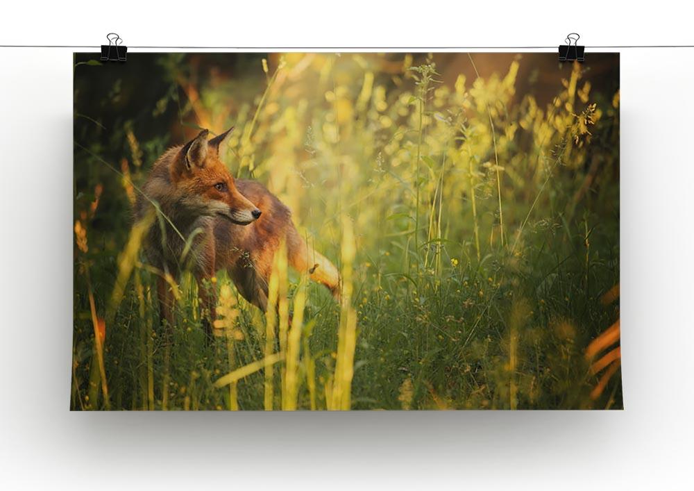 Fox on the summer forest Canvas Print or Poster - Canvas Art Rocks - 2