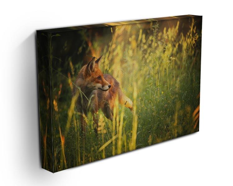Fox on the summer forest Canvas Print or Poster - Canvas Art Rocks - 3