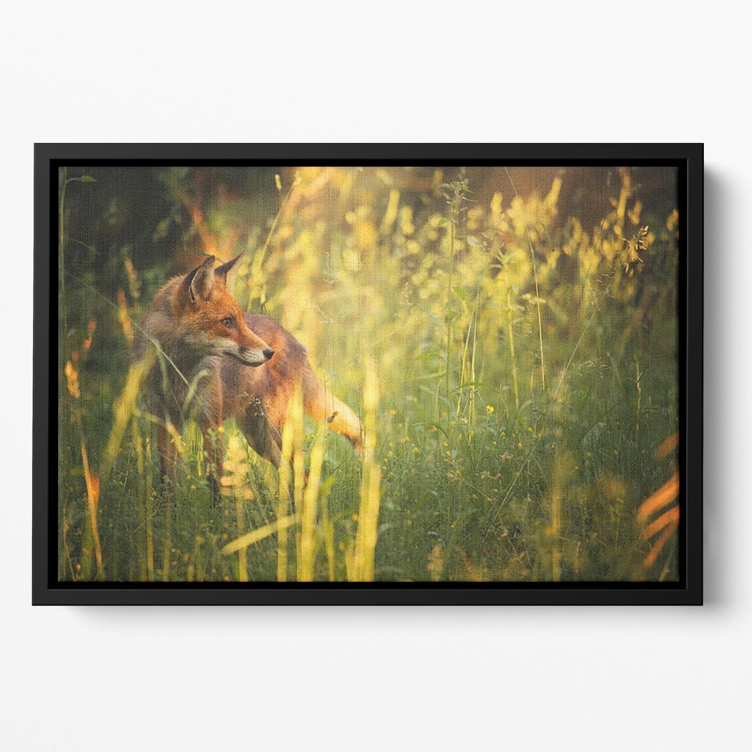 Fox on the summer forest Floating Framed Canvas - Canvas Art Rocks - 2