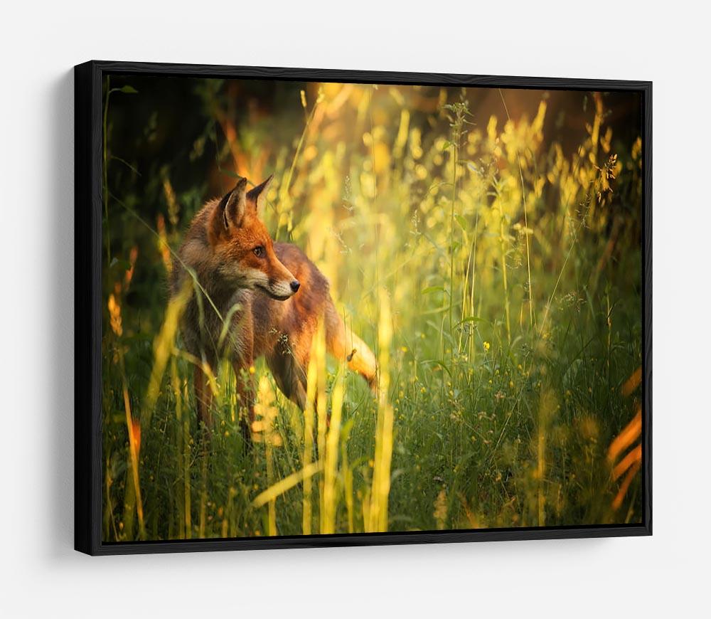 Fox on the summer forest HD Metal Print - Canvas Art Rocks - 6