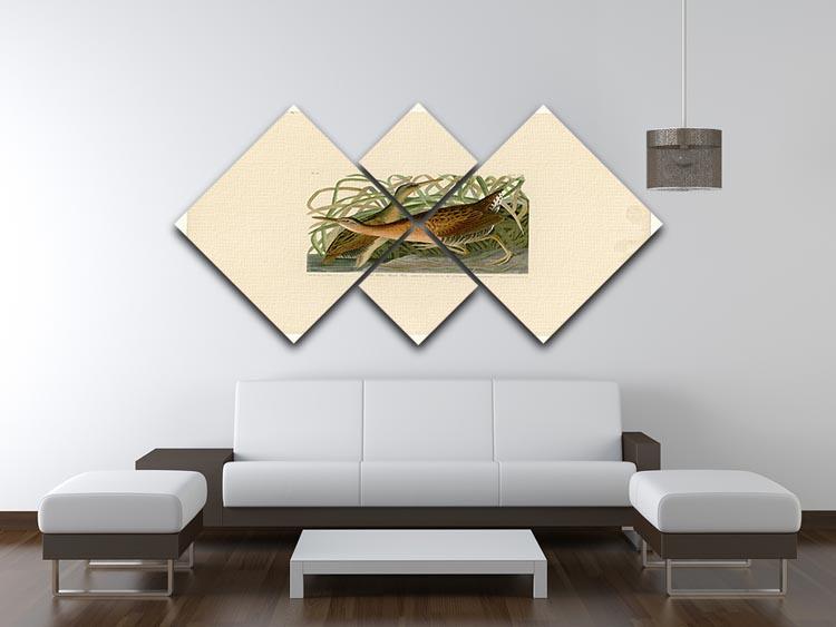 Fresh Water Marsh Hen by Audubon 4 Square Multi Panel Canvas - Canvas Art Rocks - 3