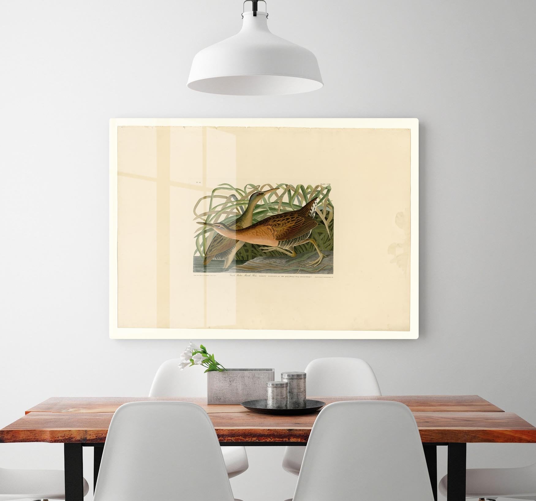 Fresh Water Marsh Hen by Audubon HD Metal Print - Canvas Art Rocks - 2