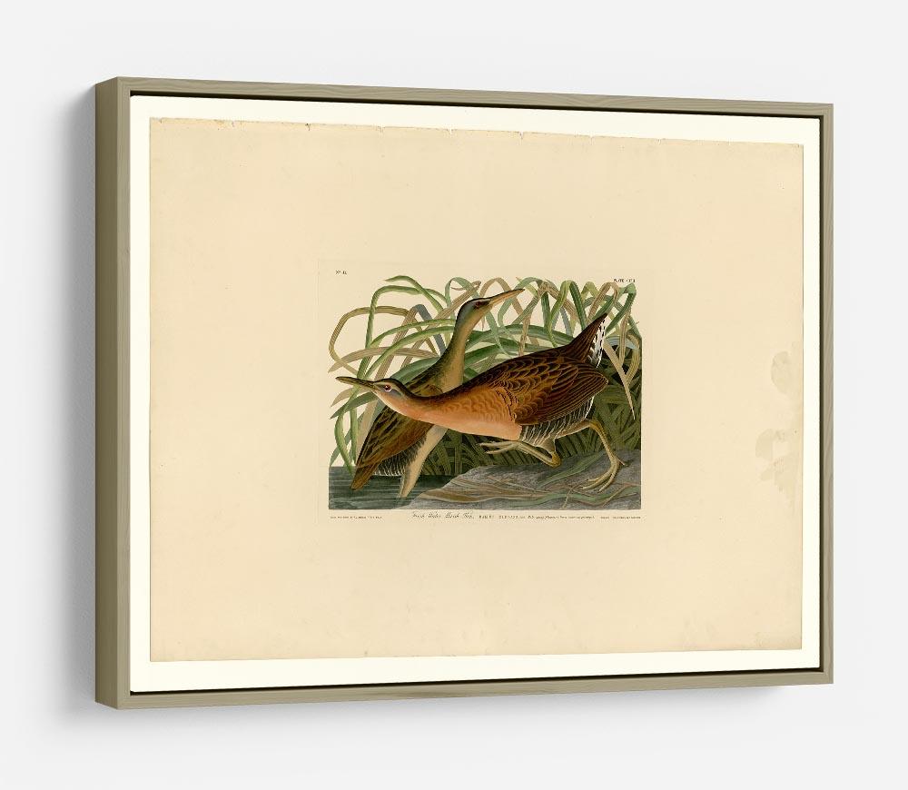 Fresh Water Marsh Hen by Audubon HD Metal Print - Canvas Art Rocks - 8