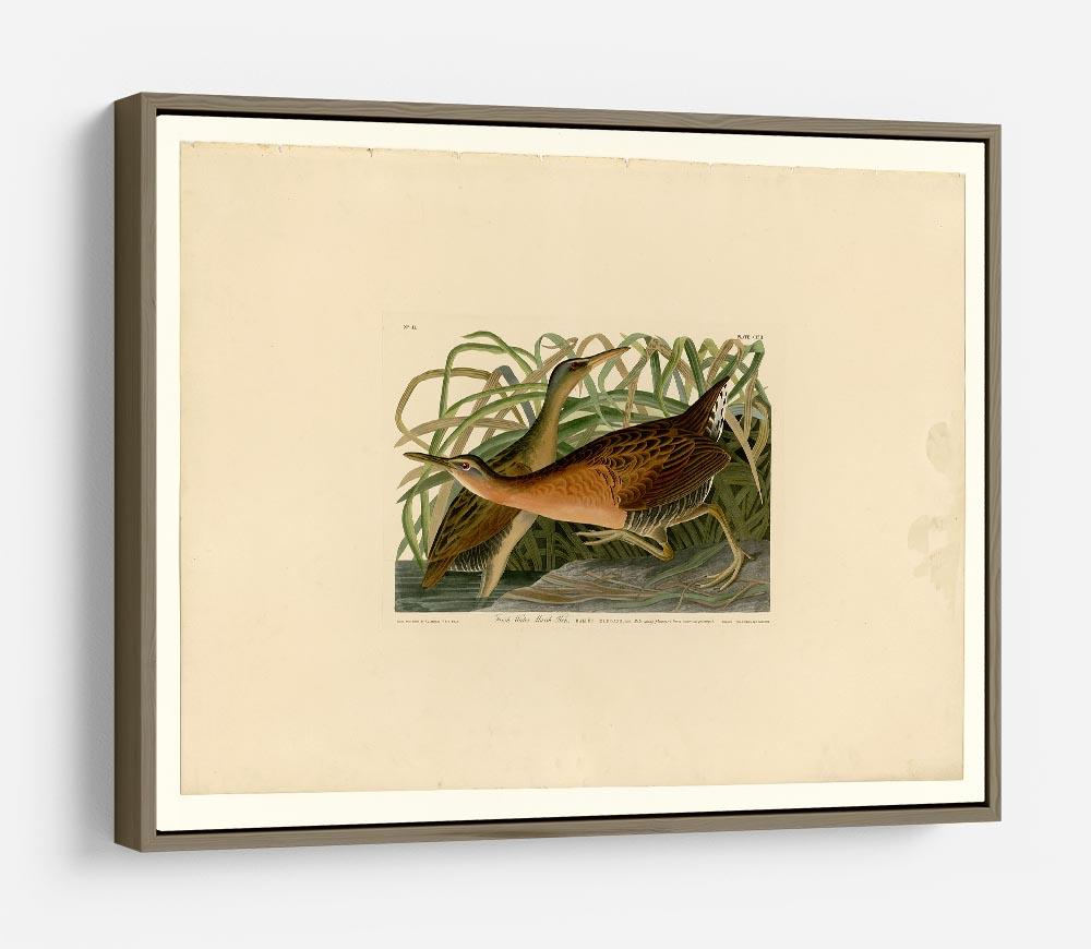 Fresh Water Marsh Hen by Audubon HD Metal Print - Canvas Art Rocks - 10