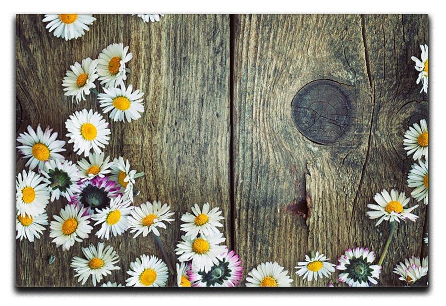 Fresh daisies on wood Canvas Print or Poster  - Canvas Art Rocks - 1