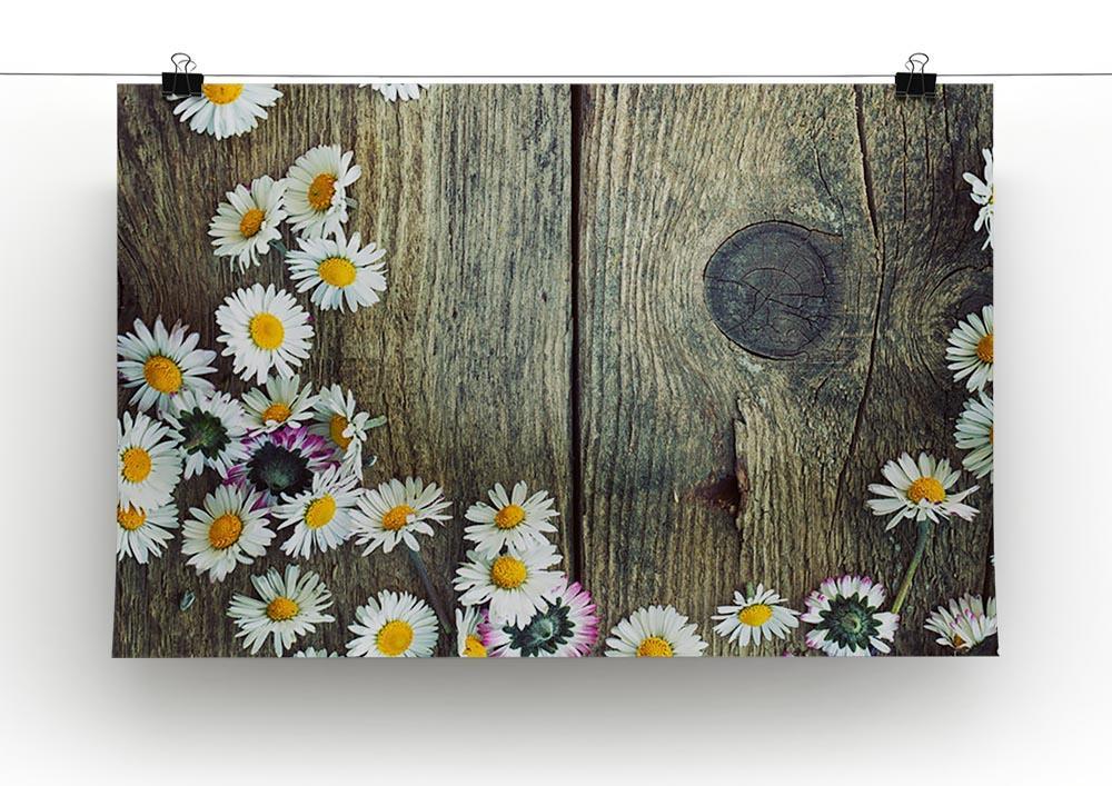 Fresh daisies on wood Canvas Print or Poster - Canvas Art Rocks - 2