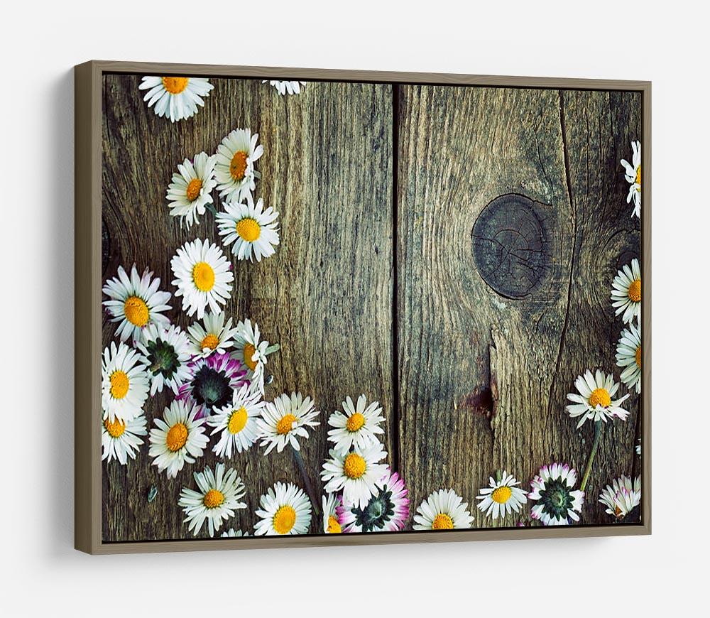 Fresh daisies on wood HD Metal Print