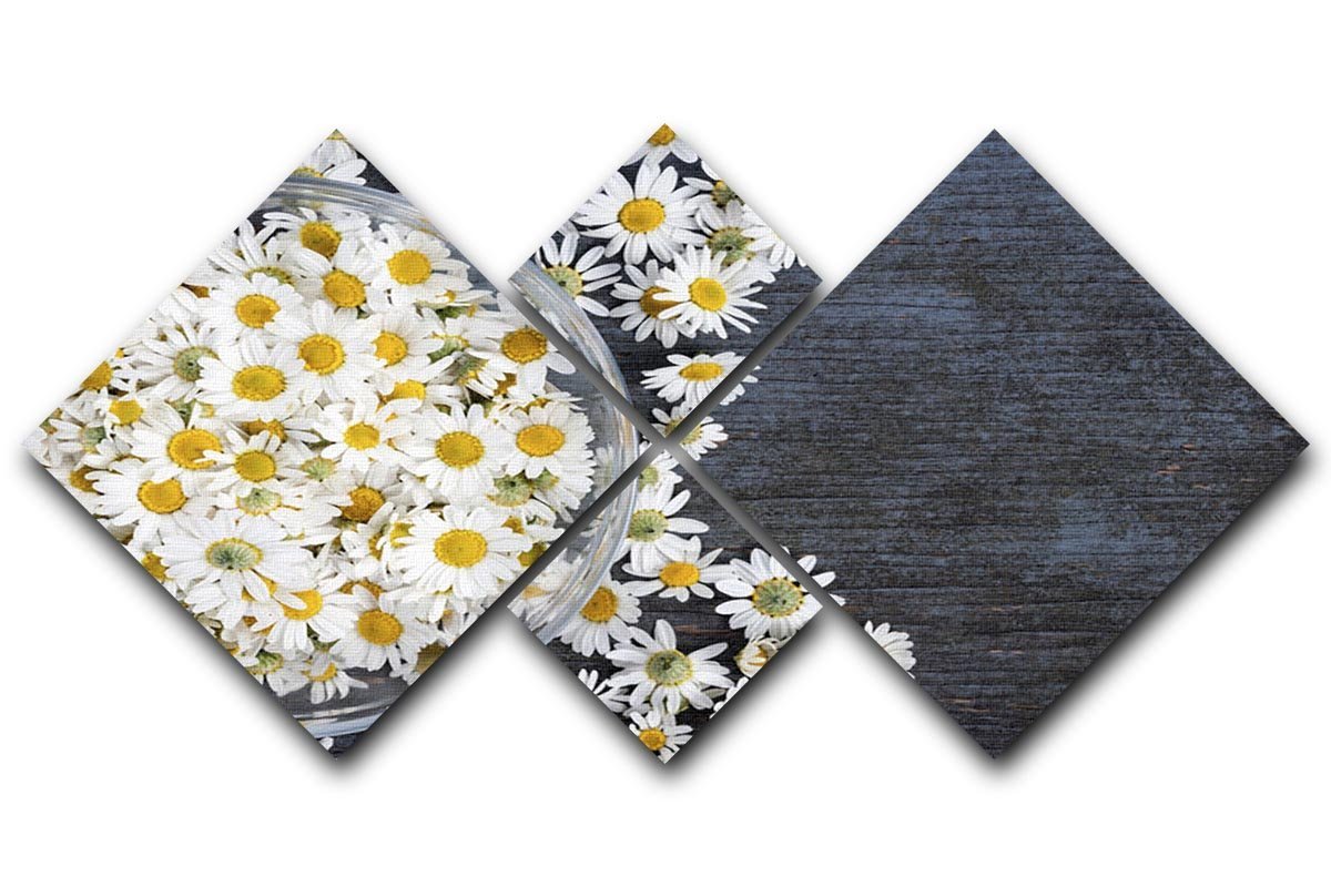 Fresh medicinal roman chamomile flower 4 Square Multi Panel Canvas  - Canvas Art Rocks - 1