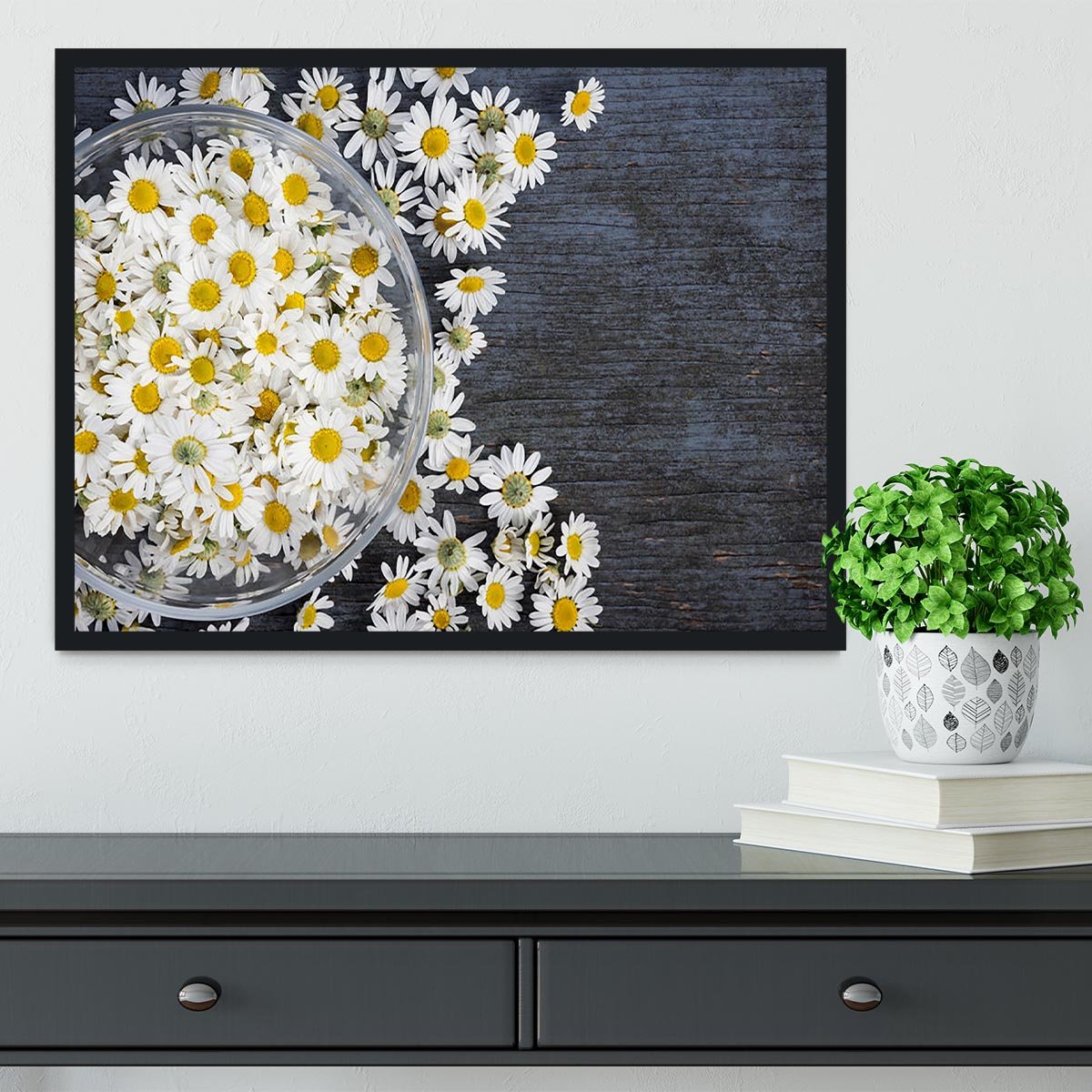 Fresh medicinal roman chamomile flower Framed Print - Canvas Art Rocks - 2