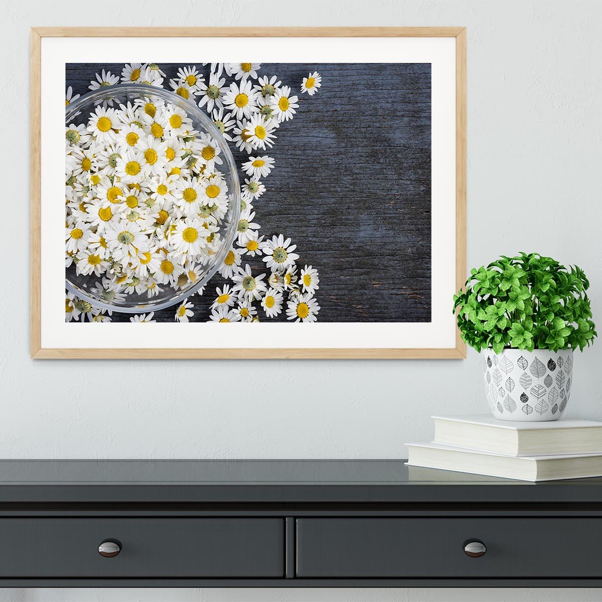 Fresh medicinal roman chamomile flower Framed Print - Canvas Art Rocks - 3