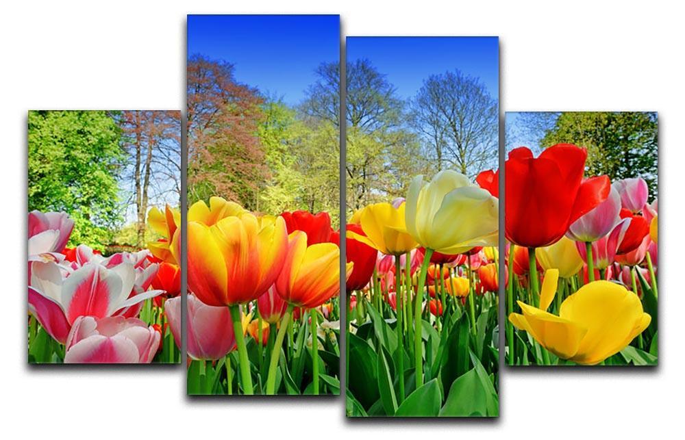 Fresh multicolored tulips in a spring park 4 Split Panel Canvas  - Canvas Art Rocks - 1