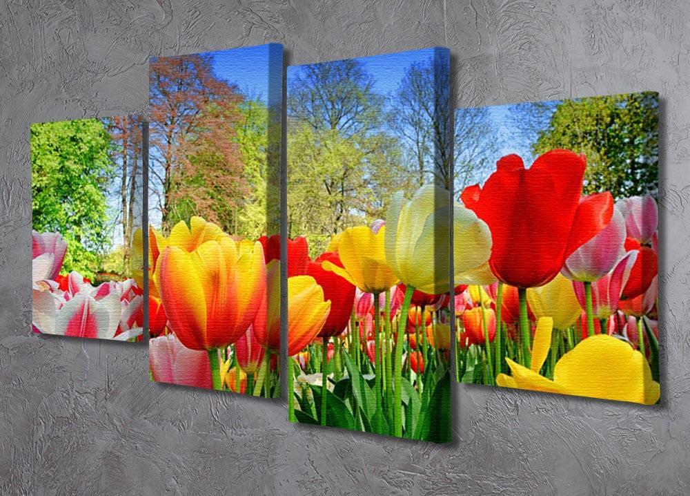 Fresh multicolored tulips in a spring park 4 Split Panel Canvas  - Canvas Art Rocks - 2