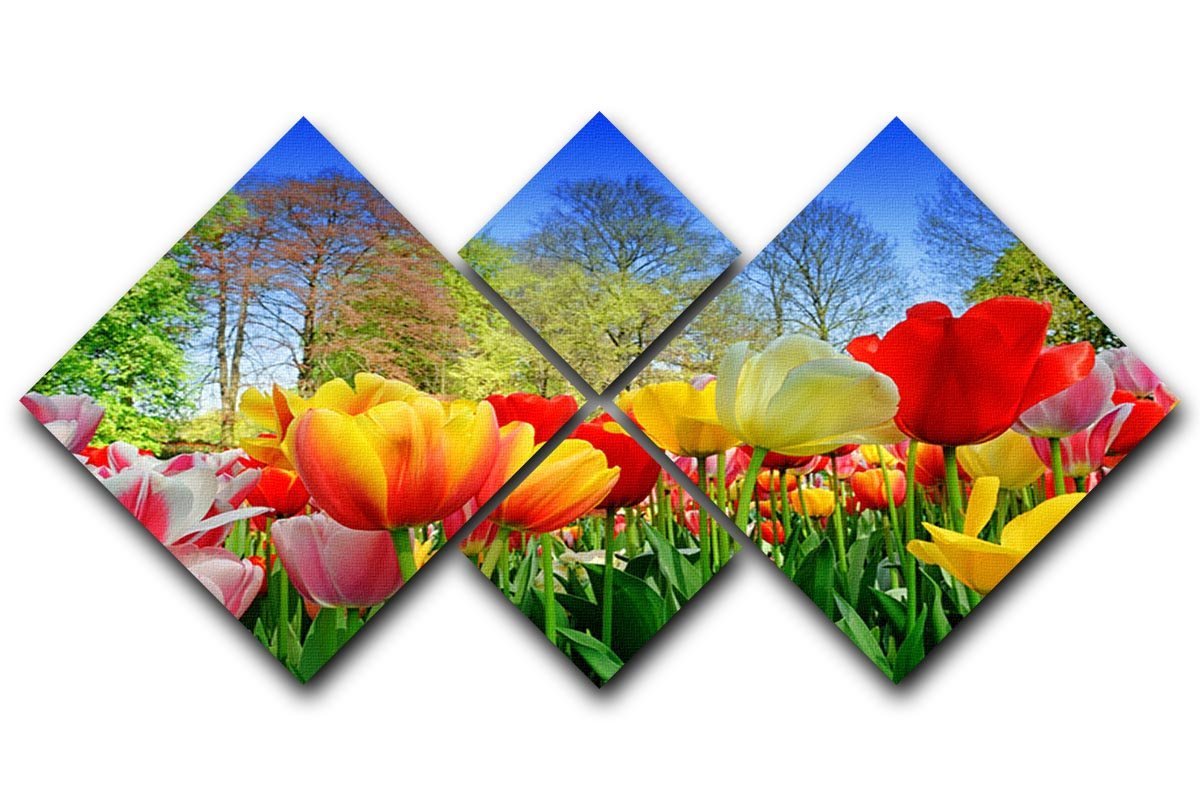 Fresh multicolored tulips in a spring park 4 Square Multi Panel Canvas  - Canvas Art Rocks - 1