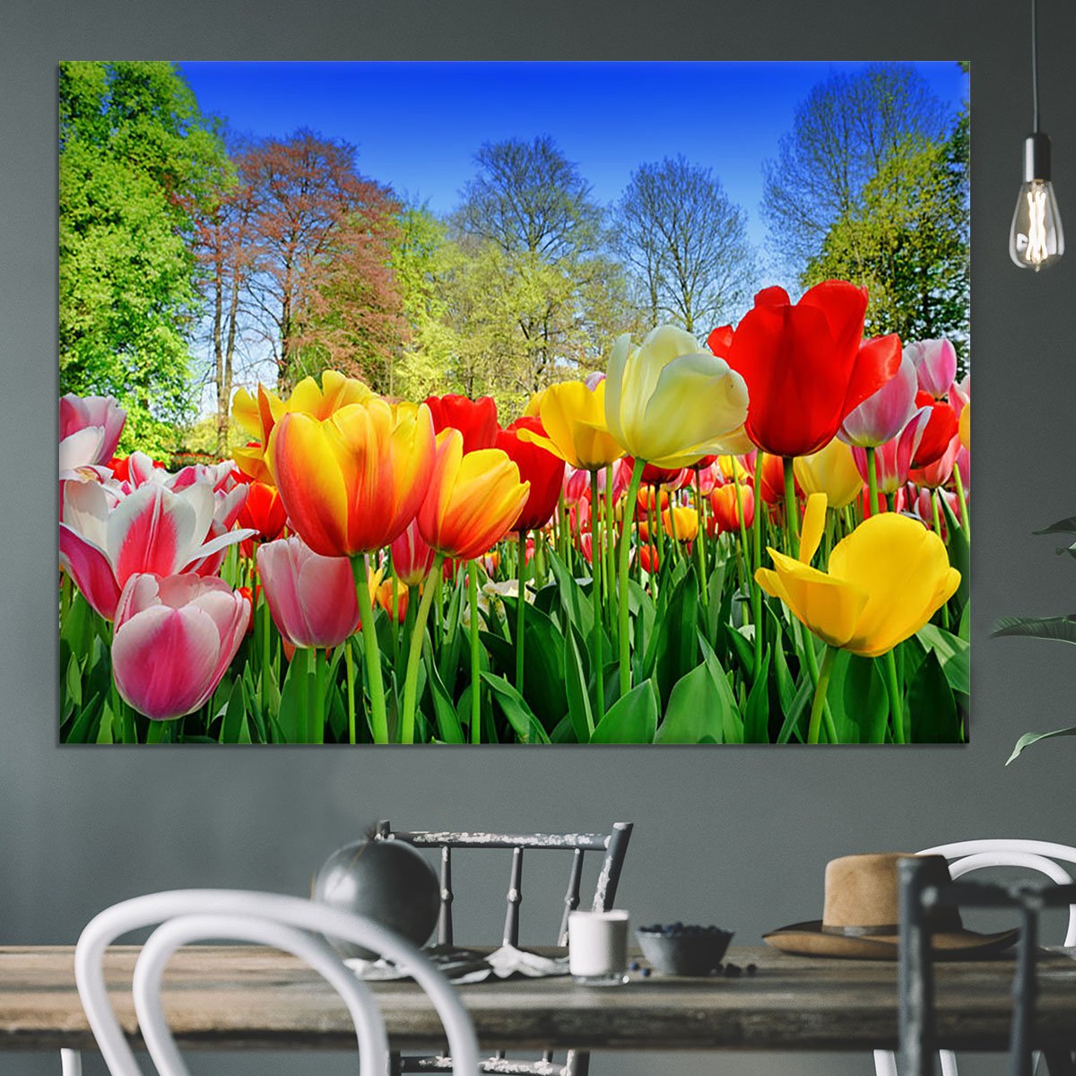 Fresh multicolored tulips in a spring park Canvas Print or Poster