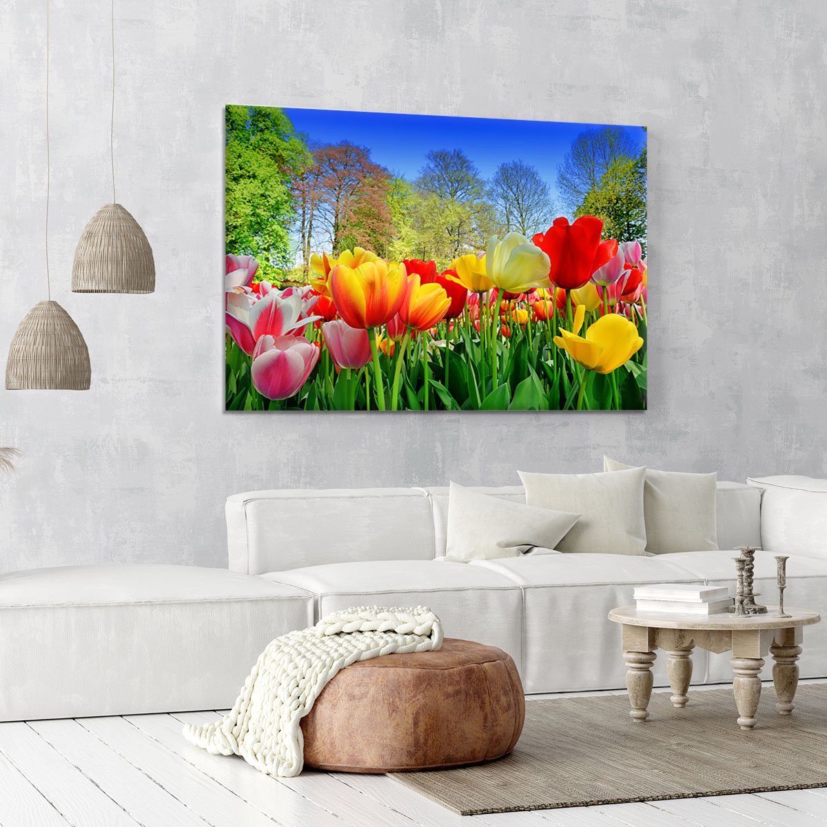 Fresh multicolored tulips in a spring park Canvas Print or Poster