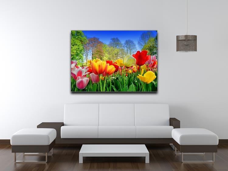 Fresh multicolored tulips in a spring park Canvas Print or Poster - Canvas Art Rocks - 4