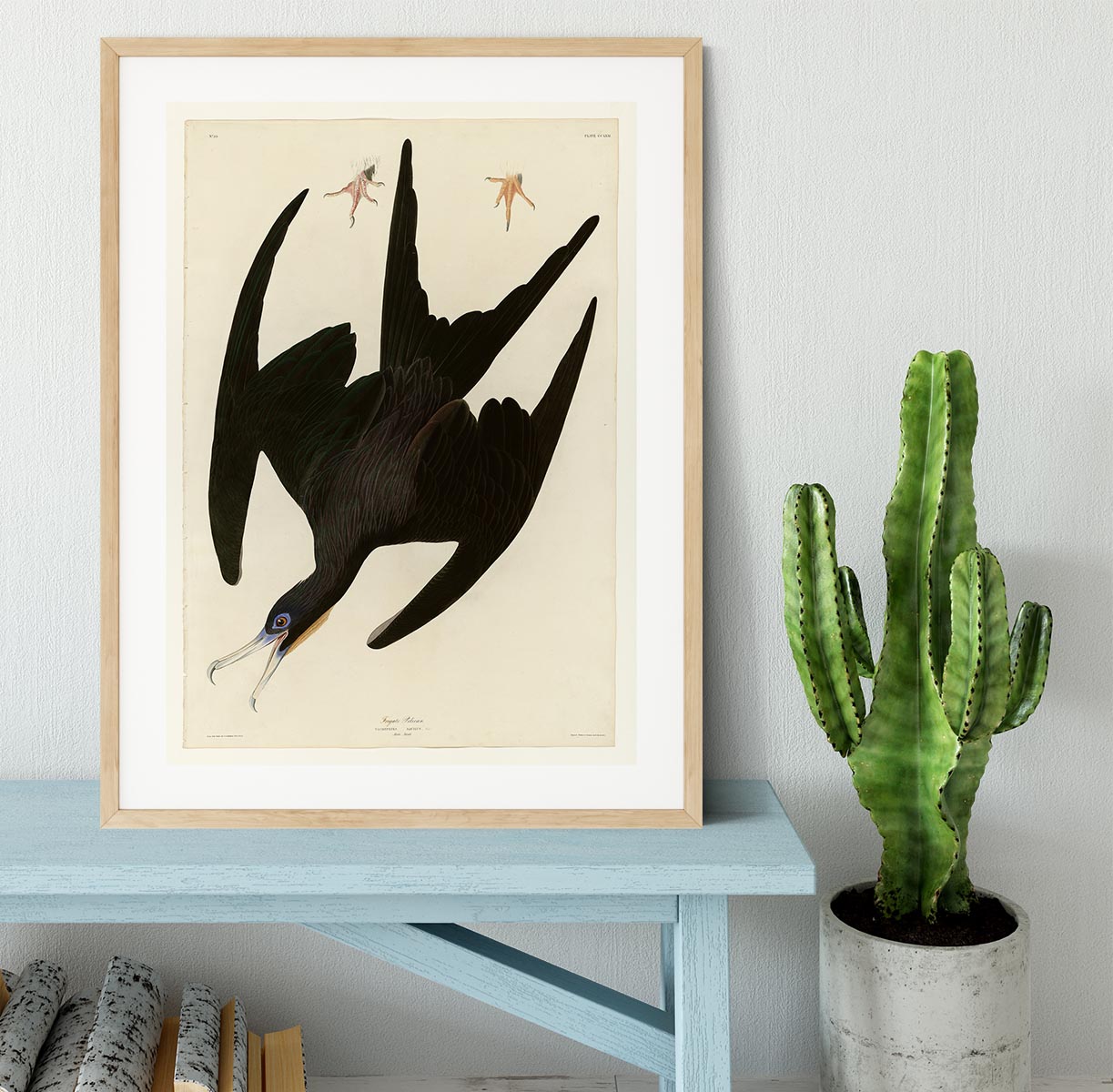 Frigate Pelican by Audubon Framed Print - Canvas Art Rocks - 3