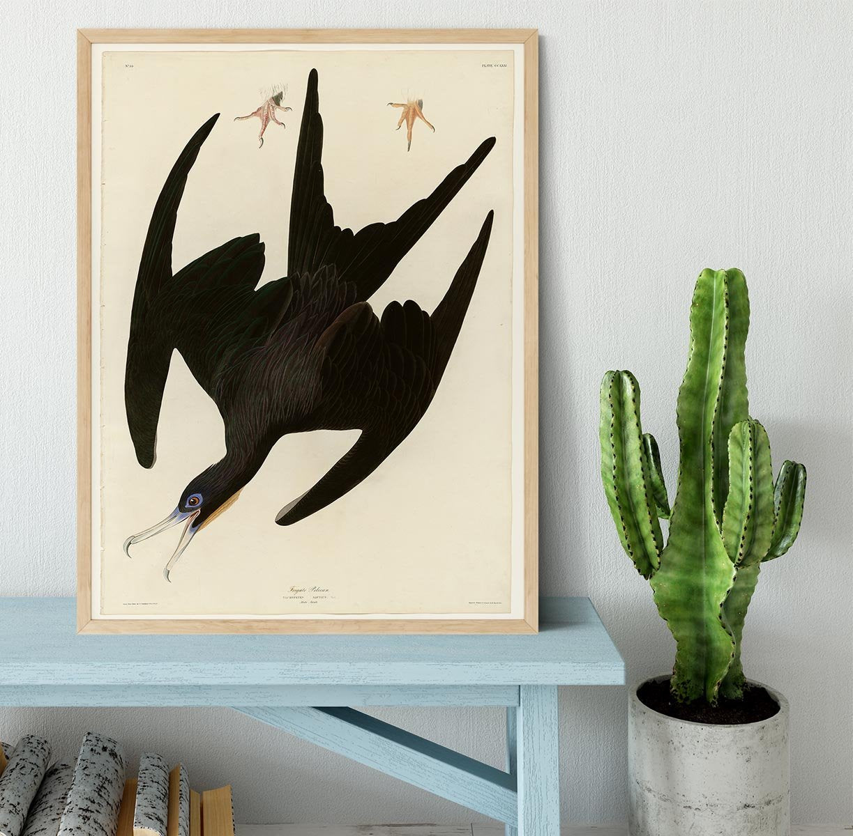 Frigate Pelican by Audubon Framed Print - Canvas Art Rocks - 4
