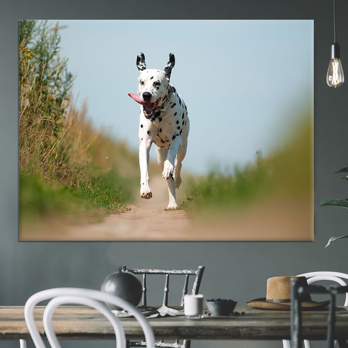 Front View of Exuberant Dalmatian Dog Running Canvas Print or Poster