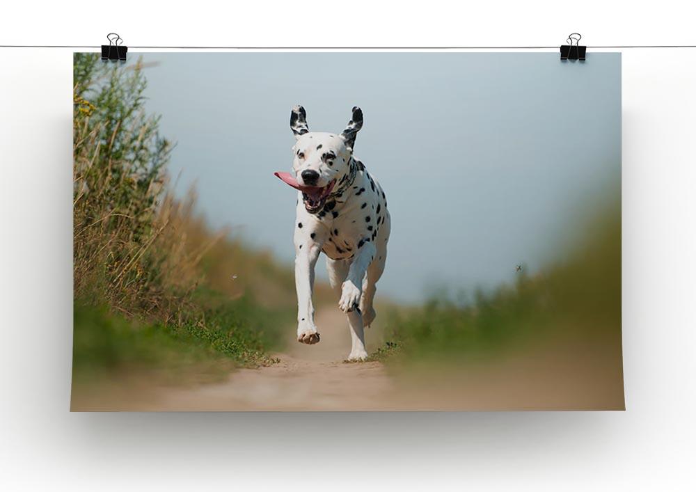 Front View of Exuberant Dalmatian Dog Running Canvas Print or Poster - Canvas Art Rocks - 2