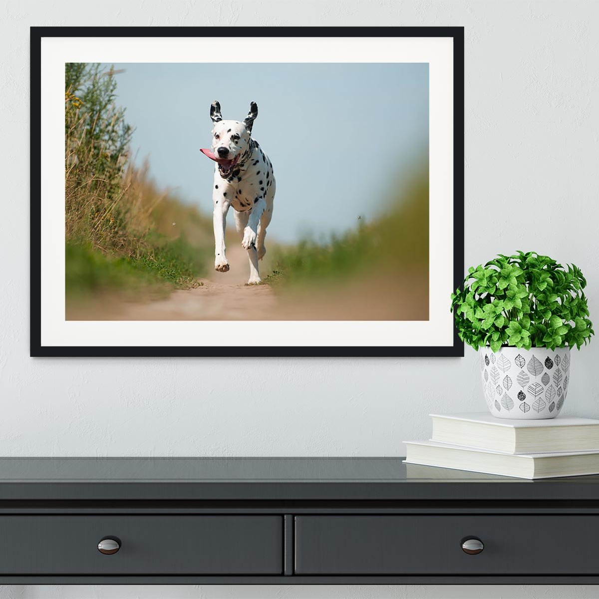 Front View of Exuberant Dalmatian Dog Running Framed Print - Canvas Art Rocks - 1