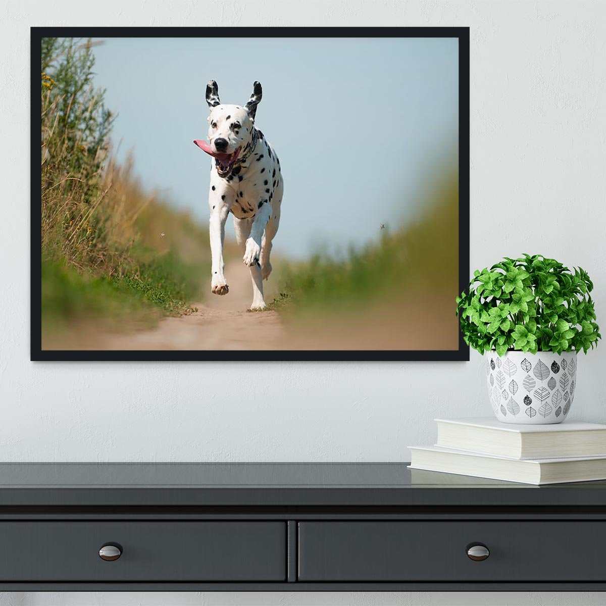 Front View of Exuberant Dalmatian Dog Running Framed Print - Canvas Art Rocks - 2