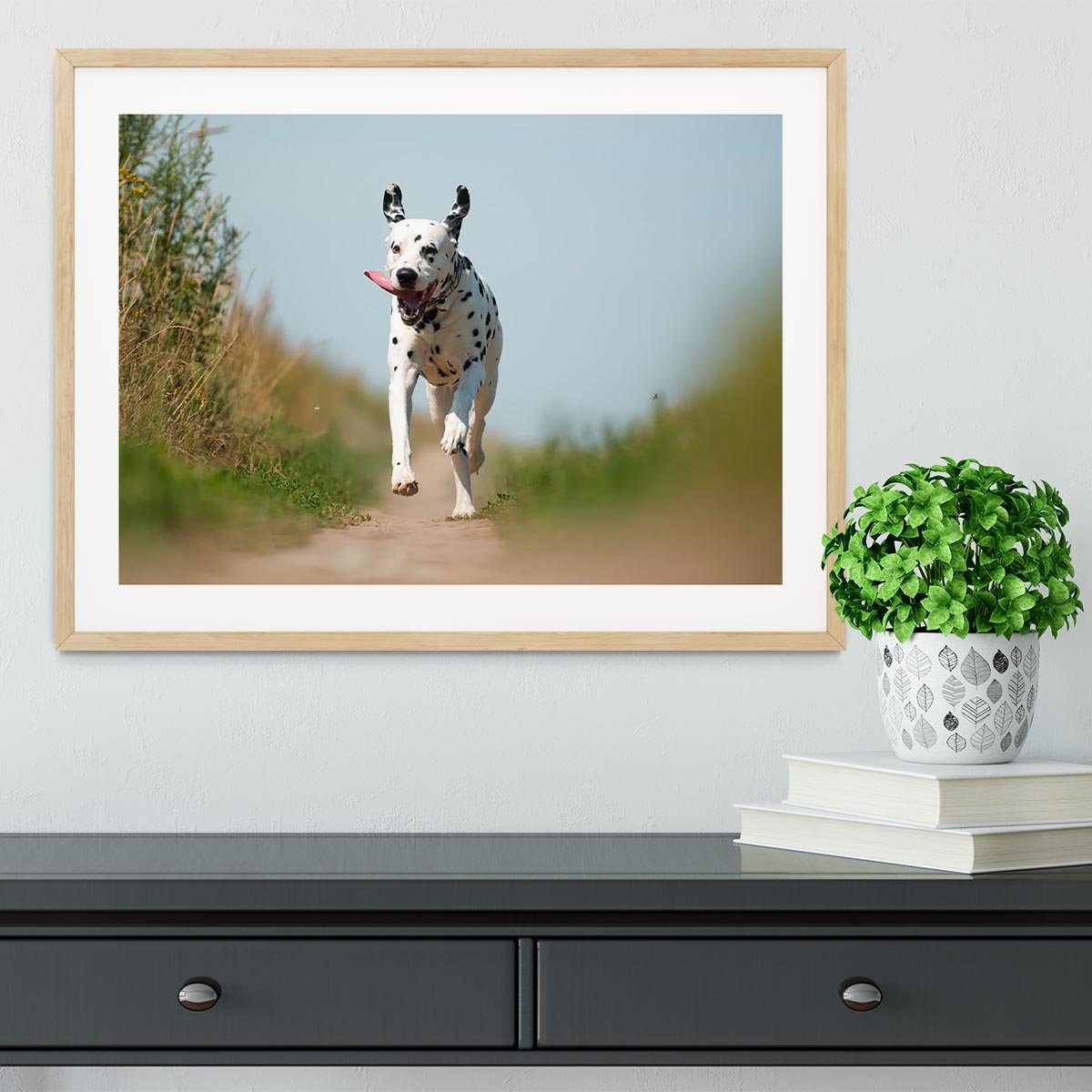 Front View of Exuberant Dalmatian Dog Running Framed Print - Canvas Art Rocks - 3
