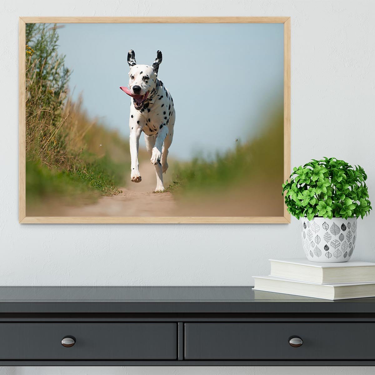 Front View of Exuberant Dalmatian Dog Running Framed Print - Canvas Art Rocks - 4