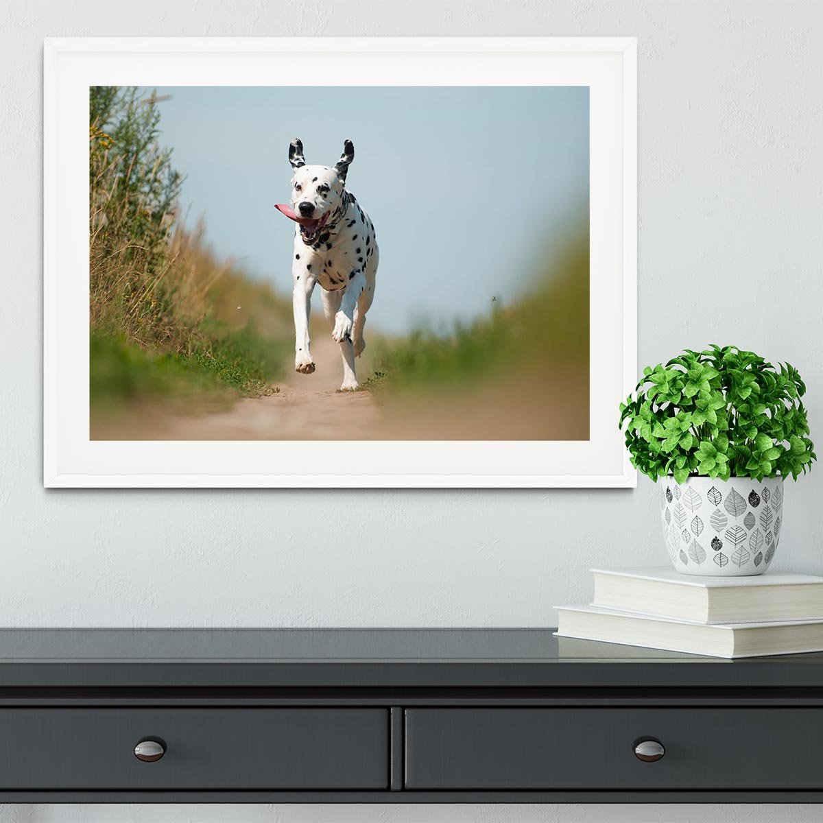Front View of Exuberant Dalmatian Dog Running Framed Print - Canvas Art Rocks - 5